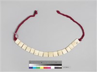 藏品(貝片胸飾)的圖片